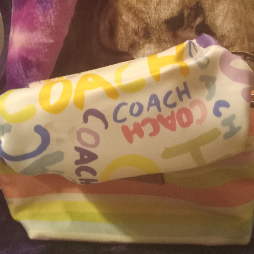 Coach 2011 Multicolor Striped Beach Top Handle Mini Bag NWT - Picture 9 of 12